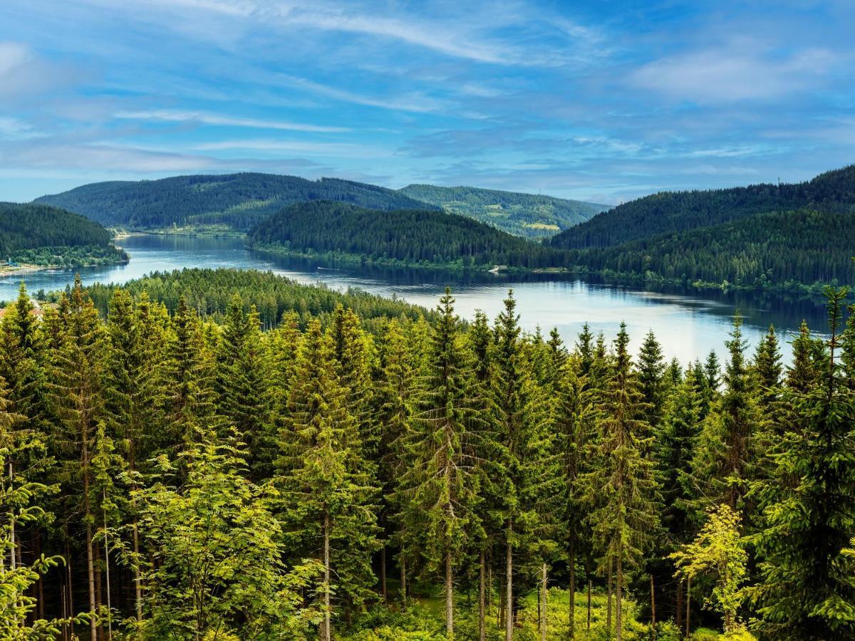 Black Forest Luxury Apartment Waldglueck Mit Sauna Königsfeld im Schwarzwald Εξωτερικό φωτογραφία