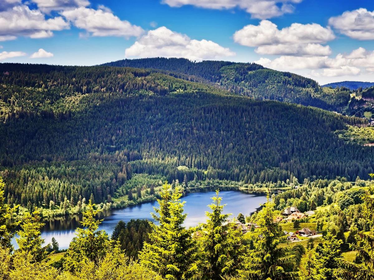 Black Forest Luxury Apartment Waldglueck Mit Sauna Königsfeld im Schwarzwald Εξωτερικό φωτογραφία